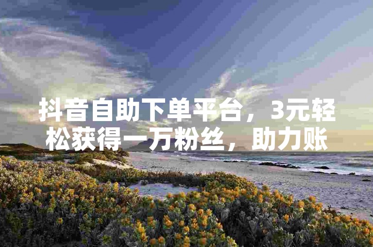 抖音自助下单平台，3元轻松获得一万粉丝，助力账号快速增长。