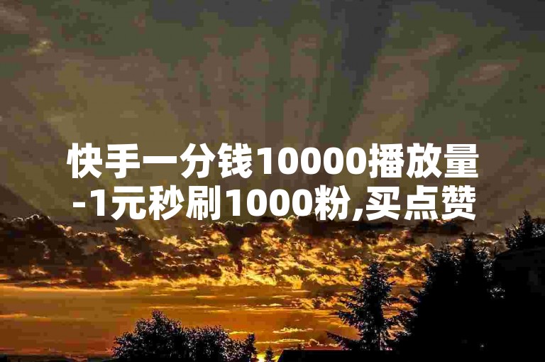 快手一分钱10000播放量-1元秒刷1000粉,买点赞