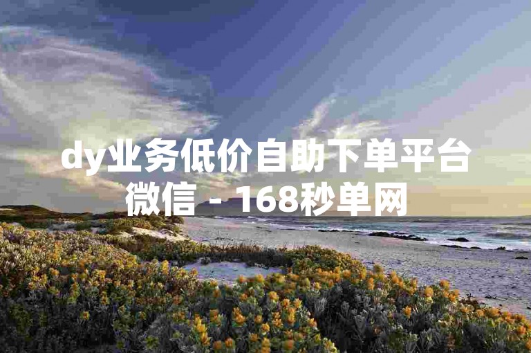 dy业务低价自助下单平台微信 - 168秒单网