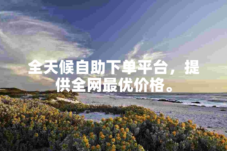 全天候自助下单平台，提供全网最优价格。