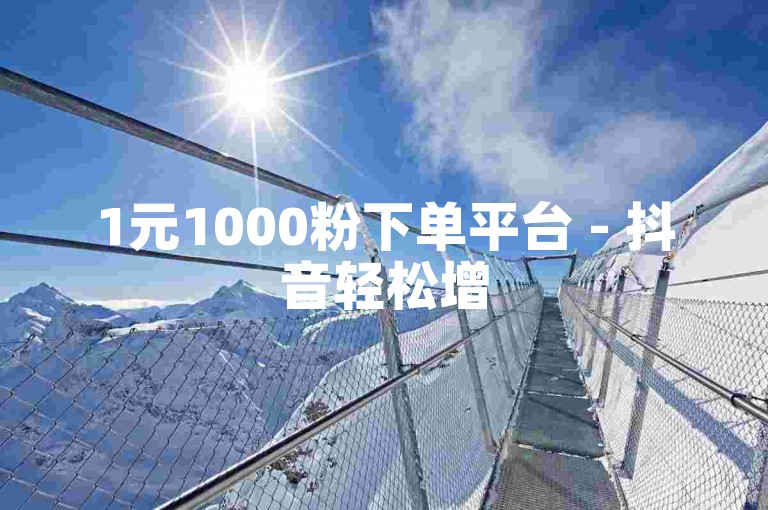 1元1000粉下单平台 - 抖音轻松增5000关注者
