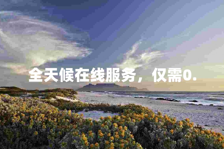 全天候在线服务，仅需0.5元即可获得1000个赞的自助订单平台。