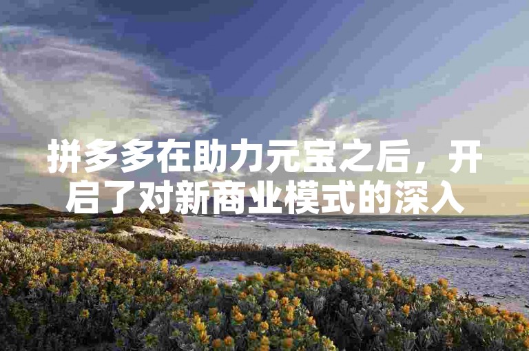 拼多多在助力元宝之后，开启了对新商业模式的深入探索。