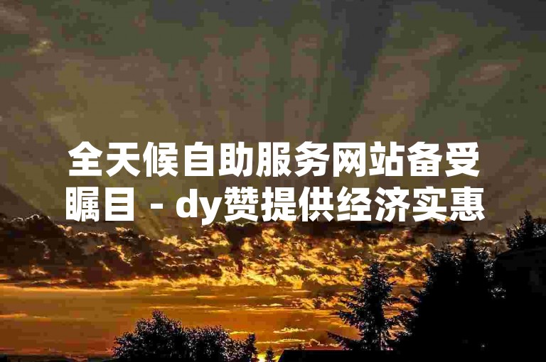 全天候自助服务网站备受瞩目 - dy赞提供经济实惠的在线下单体验。