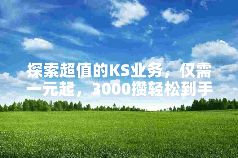 探索超值的KS业务，仅需一元起，3000攒轻松到手，蚂蚁自助下单平台等你来体验！