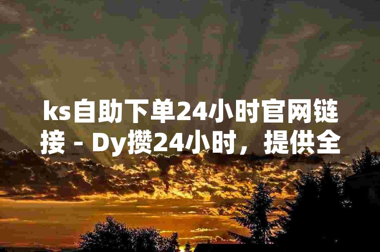 ks自助下单24小时官网链接 - Dy攒24小时，提供全天候在线服务。