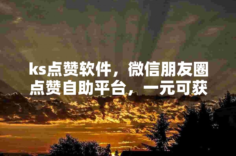 ks点赞软件，微信朋友圈点赞自助平台，一元可获1000赞，瞬间提升人气。
