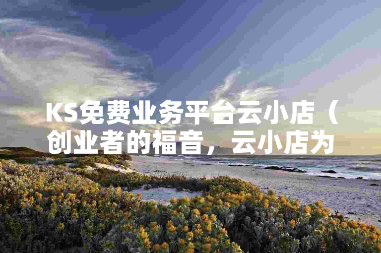 KS免费业务平台云小店（创业者的福音，云小店为KS平台注入新活力）