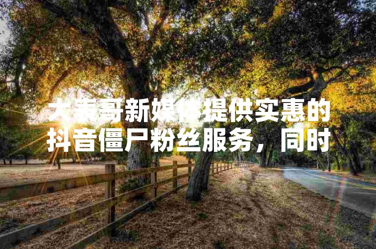 大表哥新媒体提供实惠的抖音僵尸粉丝服务，同时擅长提升空间的访客量。