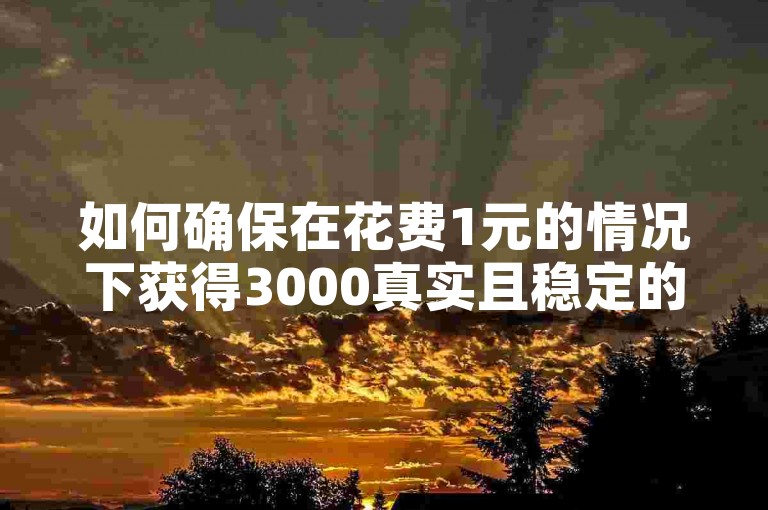 如何确保在花费1元的情况下获得3000真实且稳定的粉丝，同时避免粉丝数量下降？请探索快手接单平台的相关业务，包括快手低价上热门服务以及抖音24小时双击下单网站。