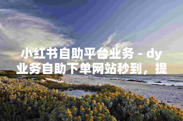 小红书自助平台业务 - dy业务自助下单网站秒到，提供便捷的在线服务体验。