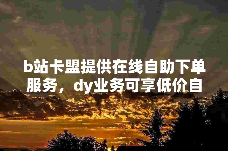 b站卡盟提供在线自助下单服务，dy业务可享低价自助下单转发。