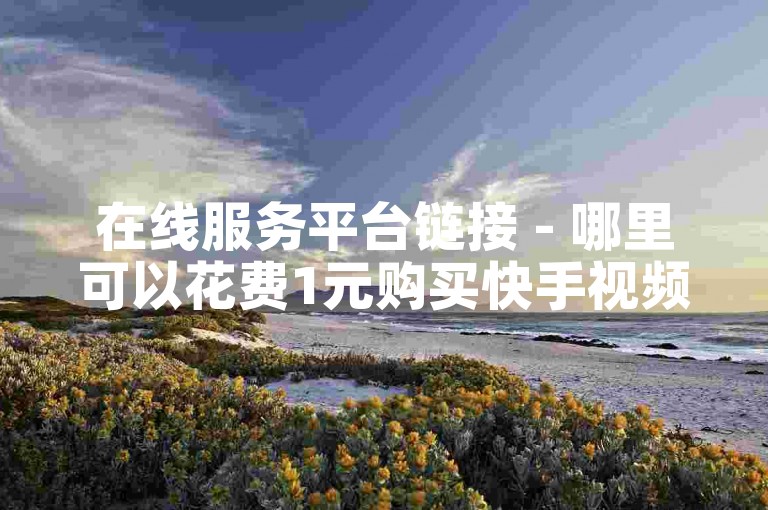 在线服务平台链接 - 哪里可以花费1元购买快手视频1万播放量？