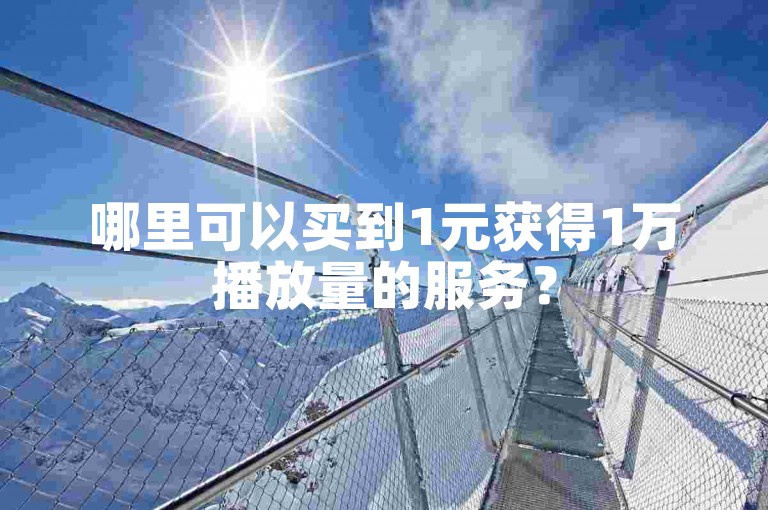 哪里可以买到1元获得1万播放量的服务？