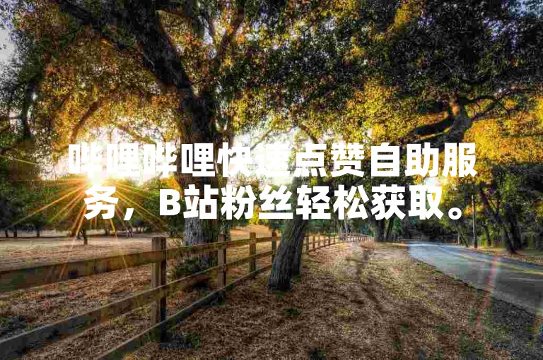 哔哩哔哩快速点赞自助服务，B站粉丝轻松获取。