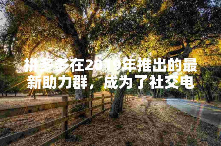 拼多多在2019年推出的最新助力群，成为了社交电商发展的新引擎。
