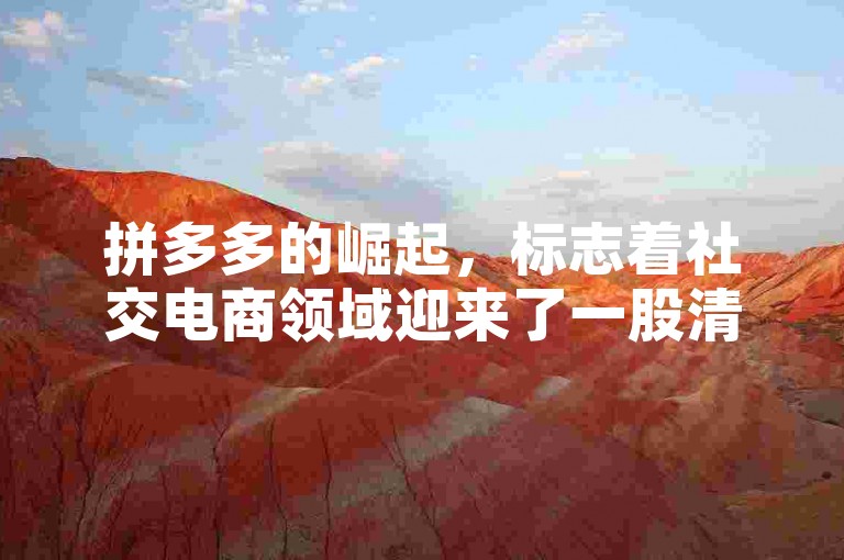 拼多多的崛起，标志着社交电商领域迎来了一股清新的力量。