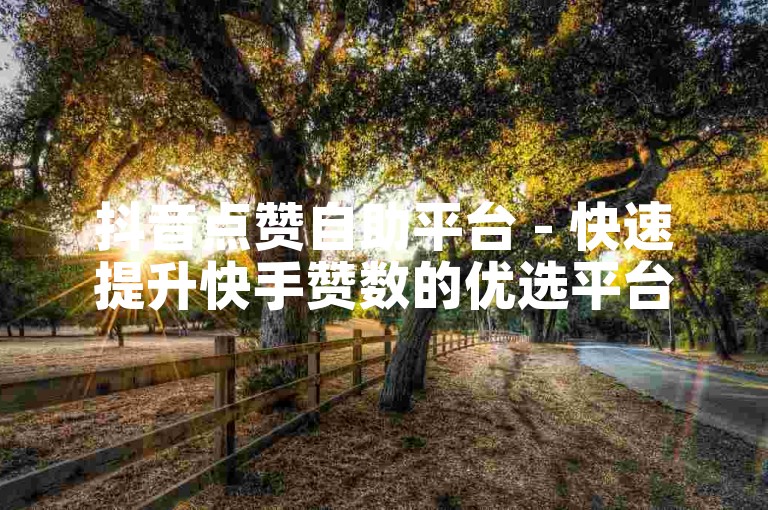 抖音点赞自助平台 - 快速提升快手赞数的优选平台。