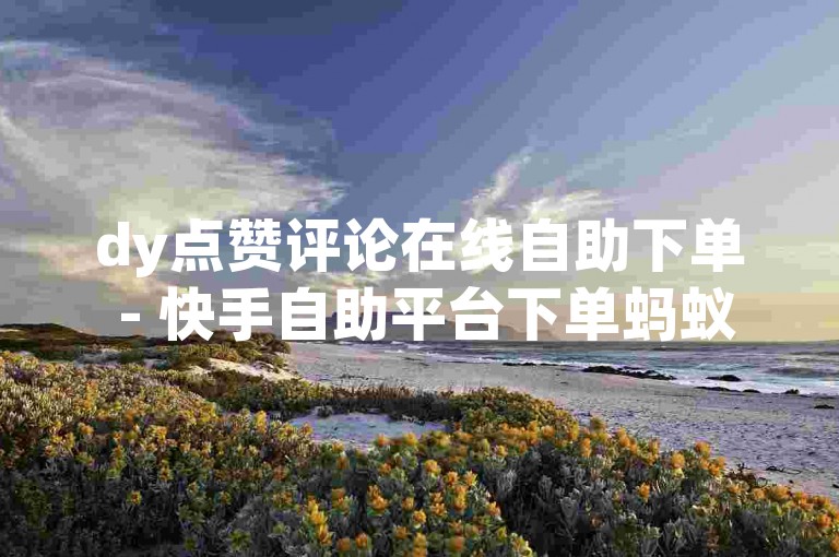 dy点赞评论在线自助下单 - 快手自助平台下单蚂蚁