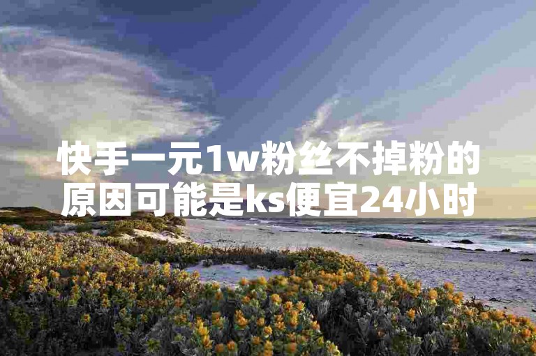 快手一元1w粉丝不掉粉的原因可能是ks便宜24小时业务提供了稳定的粉丝增长服务。
