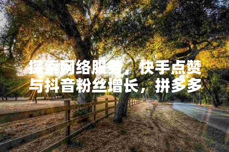探索网络服务，快手点赞与抖音粉丝增长，拼多多提供经济自助下单，快手播放量快速提升。
