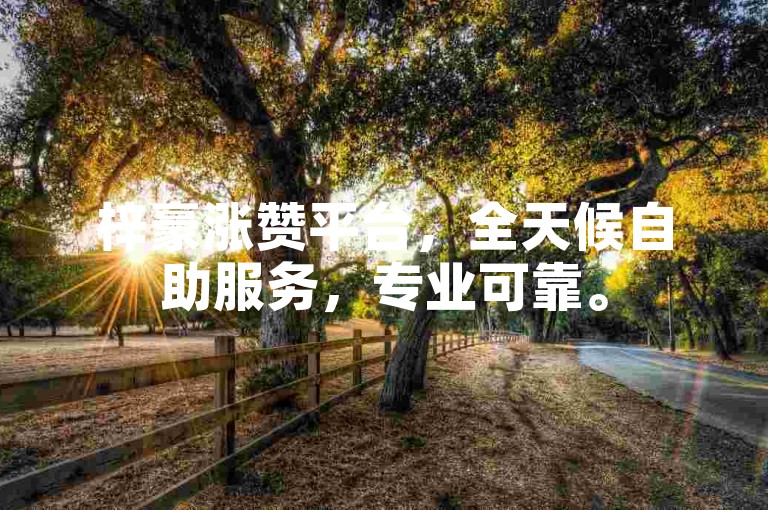 梓豪涨赞平台，全天候自助服务，专业可靠。