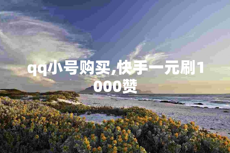 qq小号购买,快手一元刷1000赞