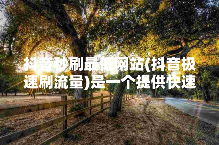 抖音秒刷最低网站(抖音极速刷流量)是一个提供快速增加抖音视频播放量的在线平台。