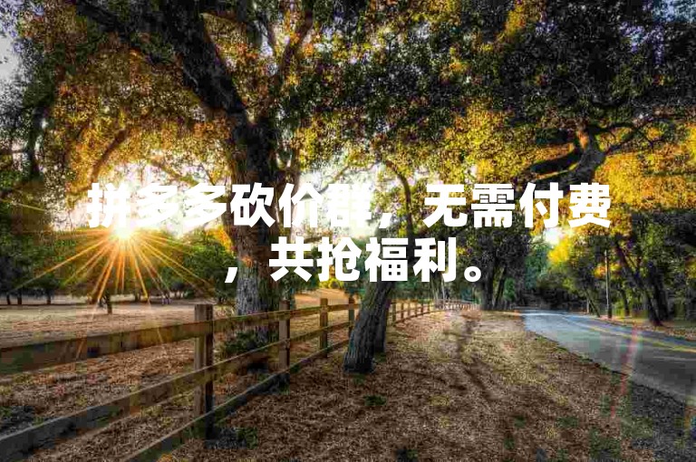 拼多多砍价群，无需付费，共抢福利。