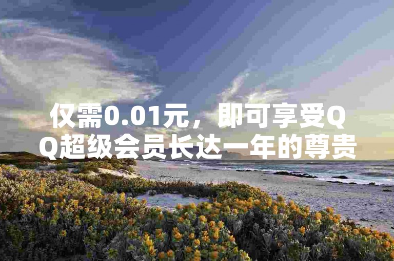 仅需0.01元，即可享受QQ超级会员长达一年的尊贵服务。