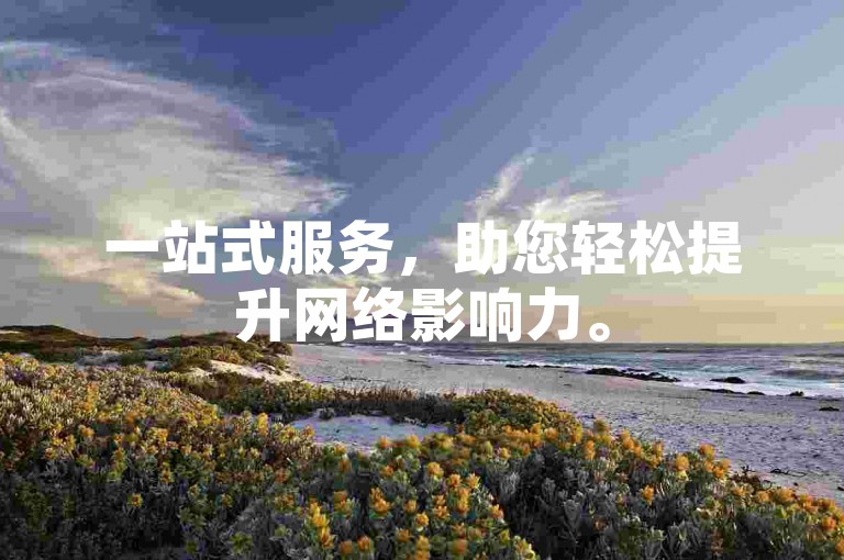 一站式服务，助您轻松提升网络影响力。