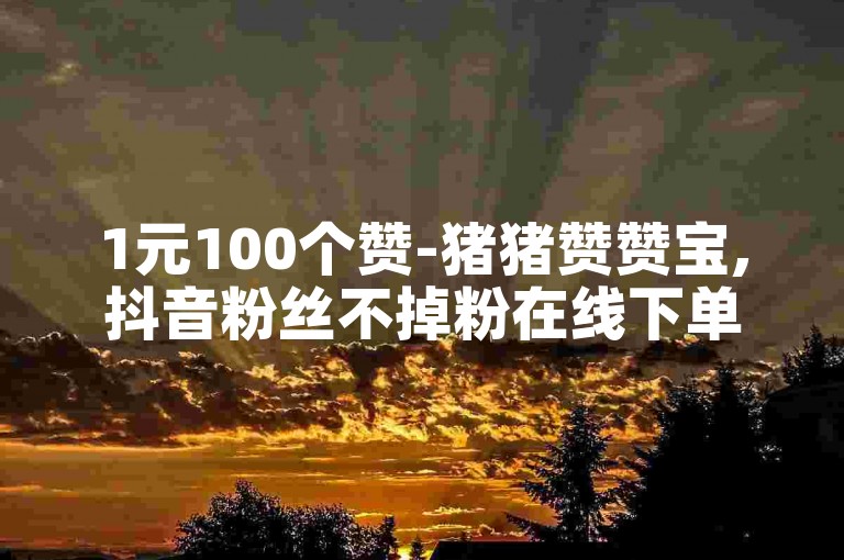1元100个赞-猪猪赞赞宝,抖音粉丝不掉粉在线下单