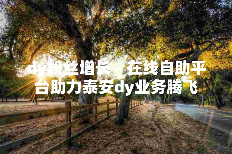 dy粉丝增长 - 在线自助平台助力泰安dy业务腾飞