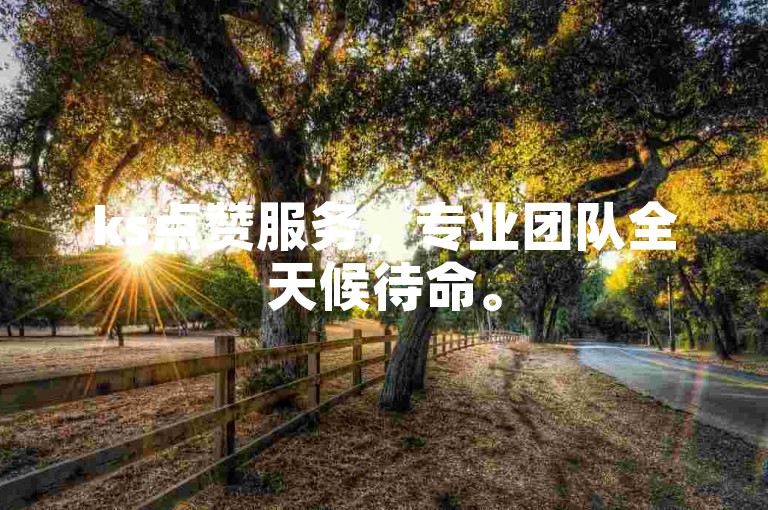 ks点赞服务，专业团队全天候待命。
