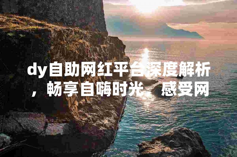 dy自助网红平台深度解析，畅享自嗨时光，感受网红风采！2024必备知识！