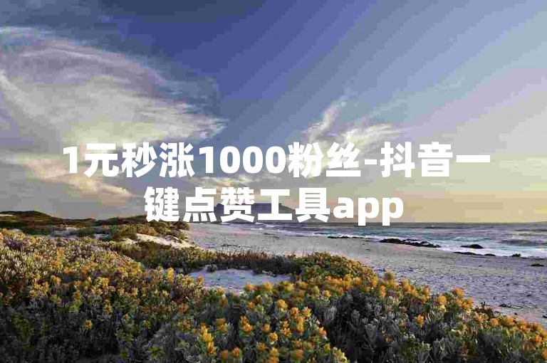1元秒涨1000粉丝-抖音一键点赞工具app