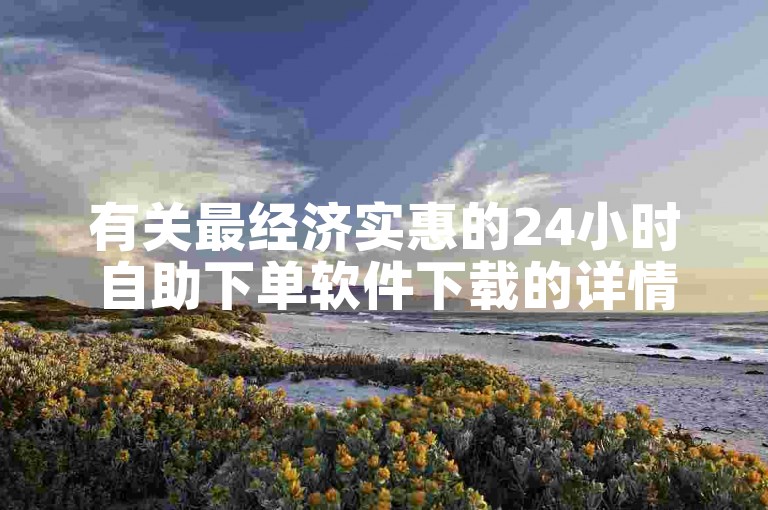 有关最经济实惠的24小时自助下单软件下载的详情。