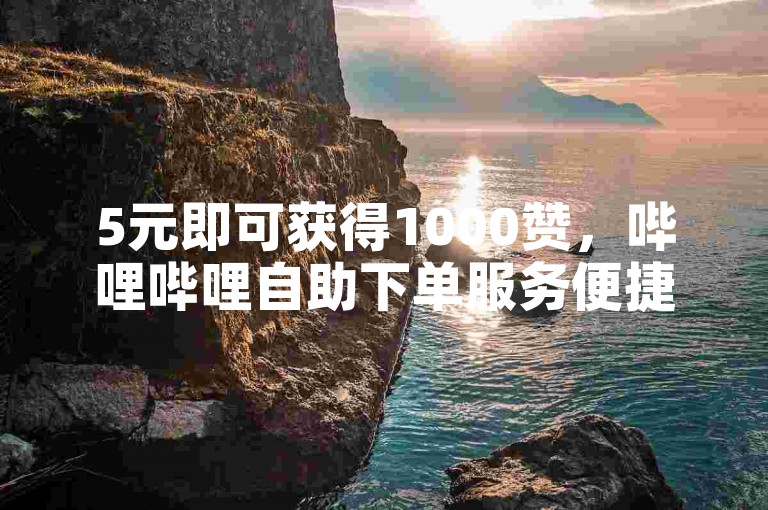 5元即可获得1000赞，哔哩哔哩自助下单服务便捷高效。