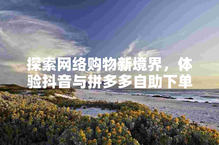 探索网络购物新境界，体验抖音与拼多多自助下单工具，享受快手平台的超值点赞服务。