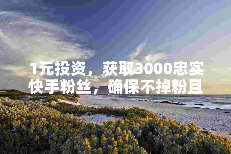 1元投资，获取3000忠实快手粉丝，确保不掉粉且持续增长。