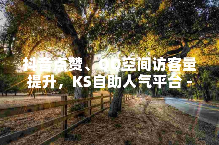 抖音点赞、QQ空间访客量提升，KS自助人气平台 - 24小时服务，快速增加曝光度。