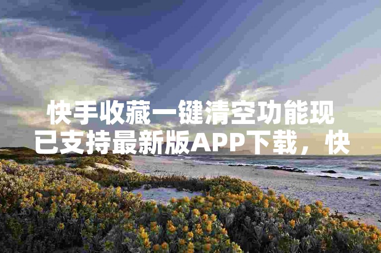 快手收藏一键清空功能现已支持最新版APP下载，快来体验低价自助下单服务吧！