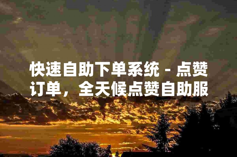 快速自助下单系统 - 点赞订单，全天候点赞自助服务_抖音真人点赞自助平台