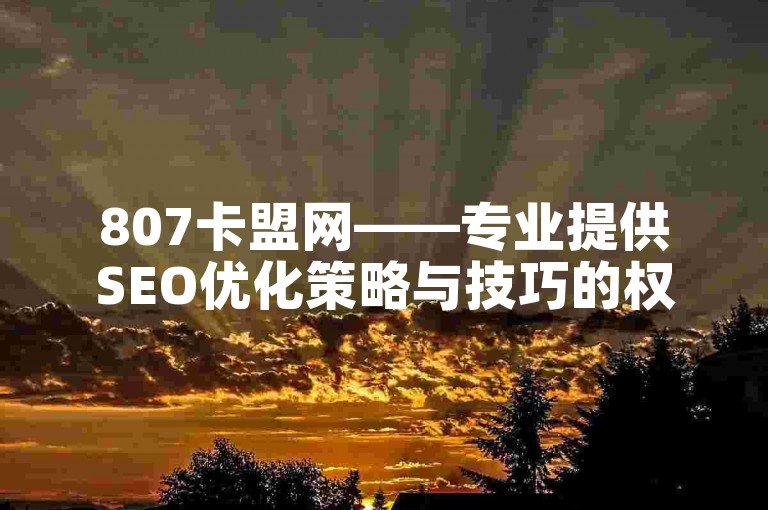 807卡盟网——专业提供SEO优化策略与技巧的权威平台。