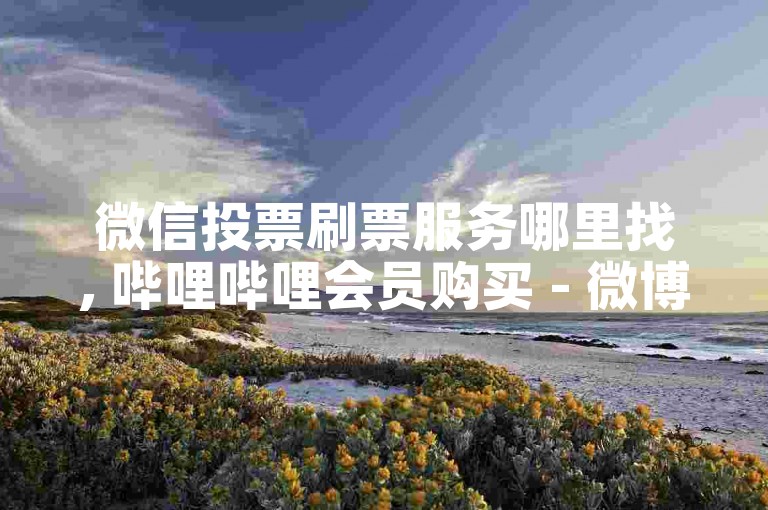微信投票刷票服务哪里找, 哔哩哔哩会员购买 - 微博粉丝快速增长平台 - 全天候秒速处理订单最划算