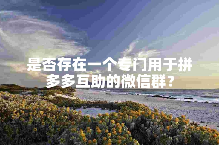 是否存在一个专门用于拼多多互助的微信群？