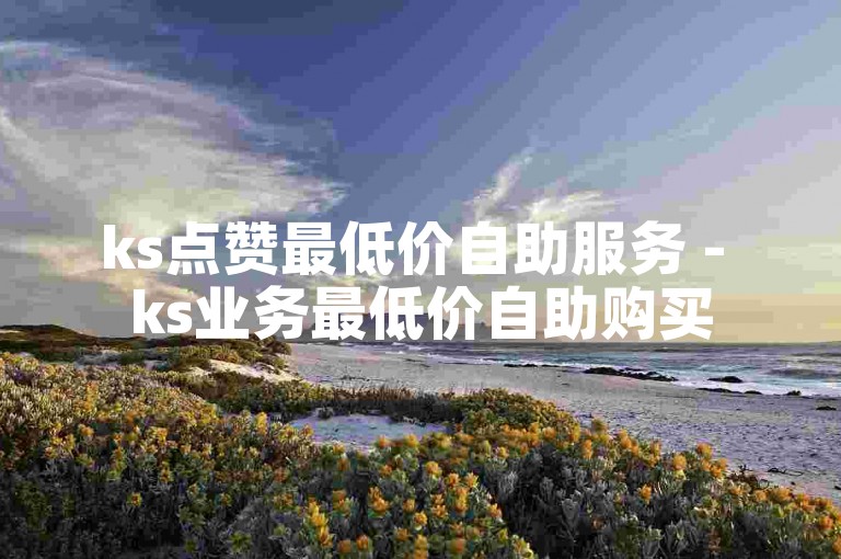 ks点赞最低价自助服务 - ks业务最低价自助购买