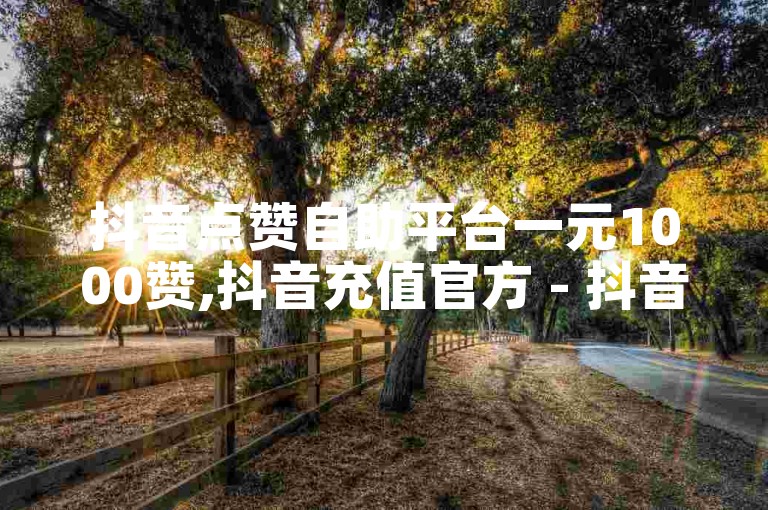 抖音点赞自助平台一元1000赞,抖音充值官方 - 抖音买的引流推广增加曝光度 - 巨量千川人工客服入口