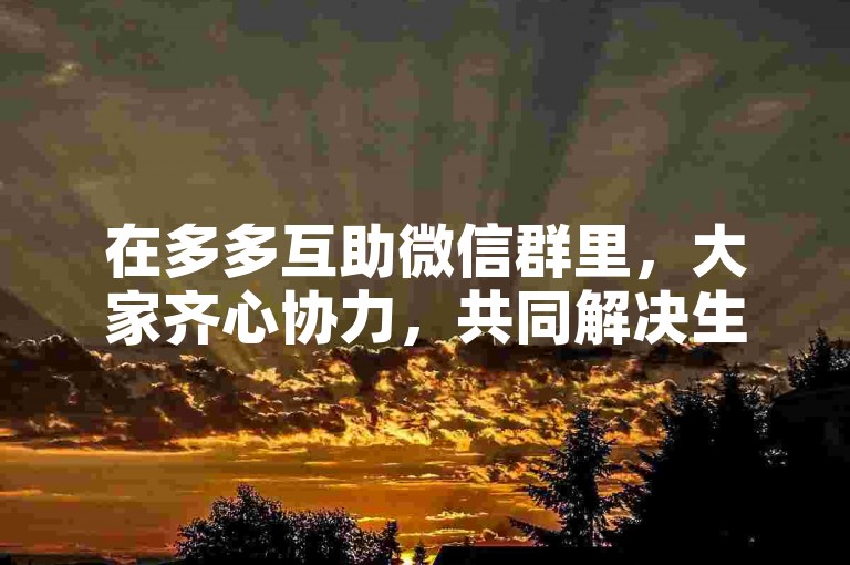 在多多互助微信群里，大家齐心协力，共同解决生活中的难题。