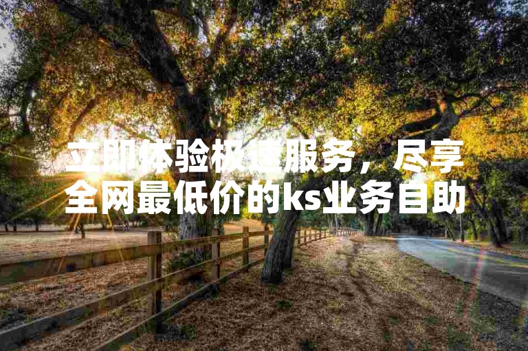 立即体验极速服务，尽享全网最低价的ks业务自助下单秒刷优惠。